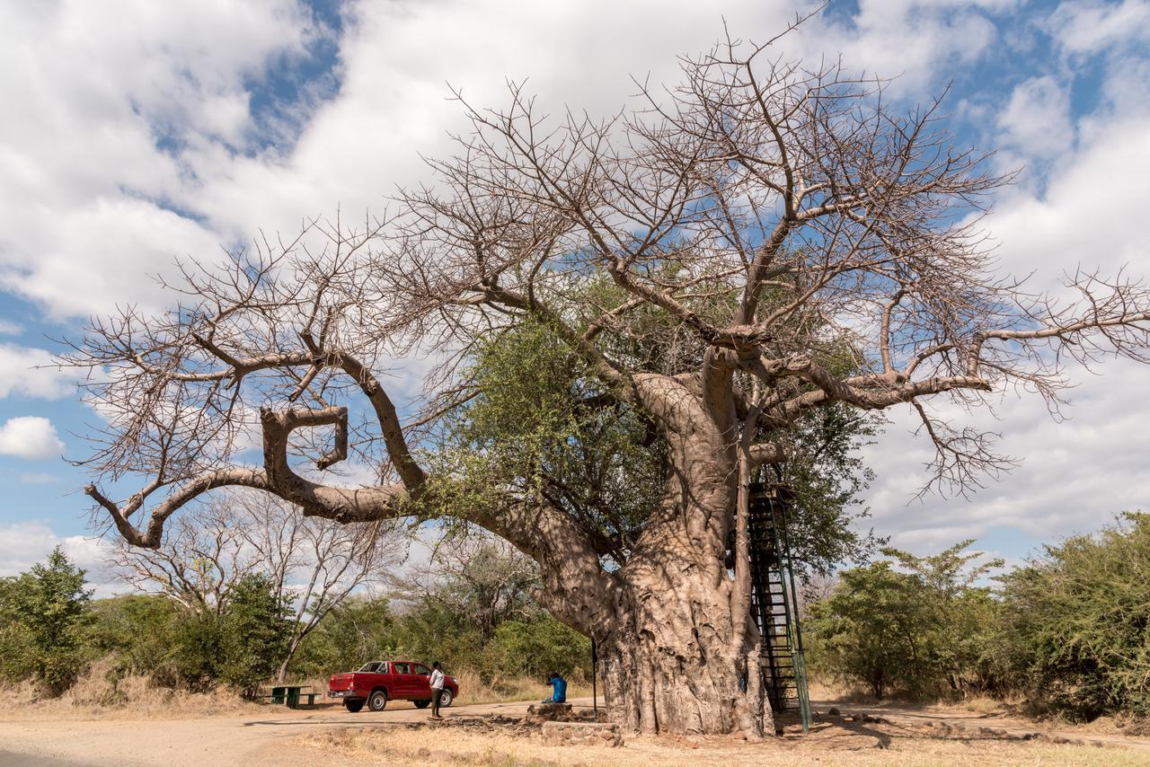 Okavango Lodge Livingstone Bagian luar foto